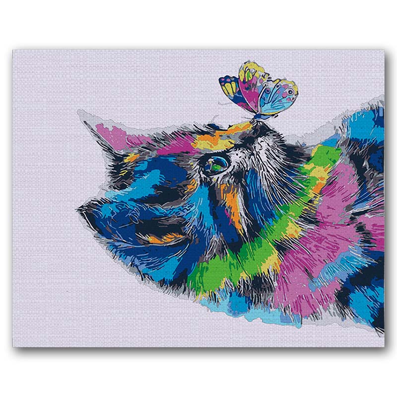 Pinta_x_Numeros-Gato_Colores_800x800